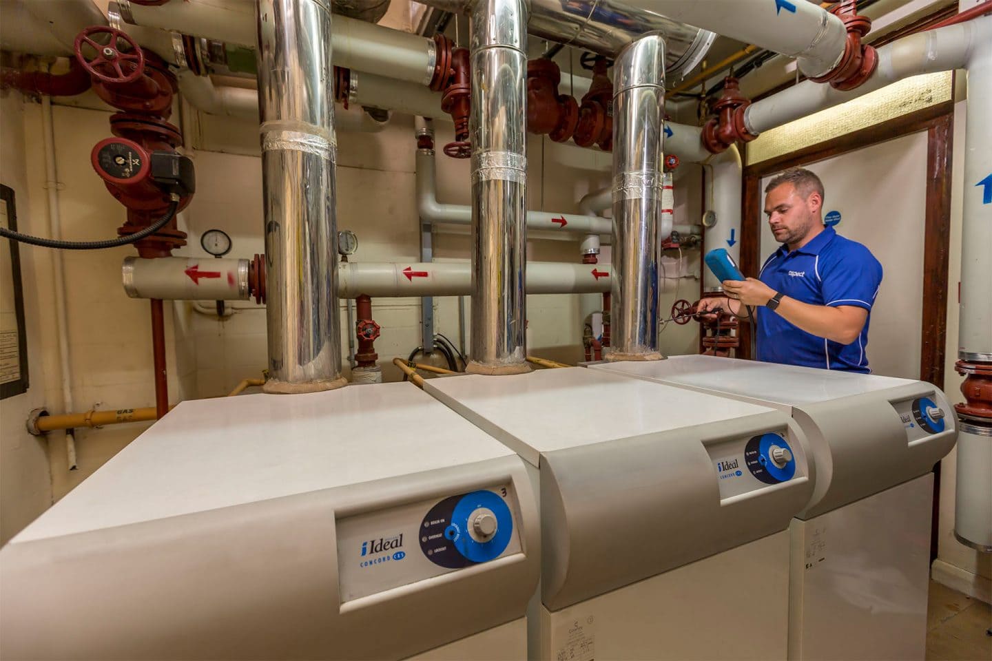 Fast painting service